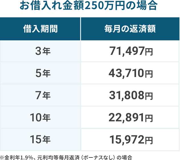 お借入れ金額250万円の場合